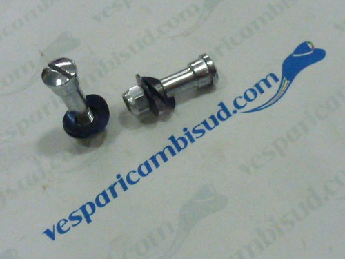Coppia vite leve manubrio - coppia,